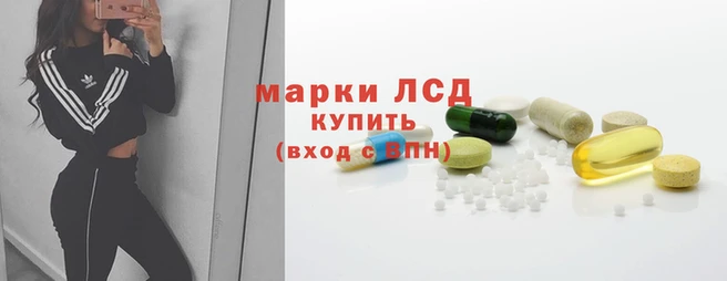 apvp Новочеркасск
