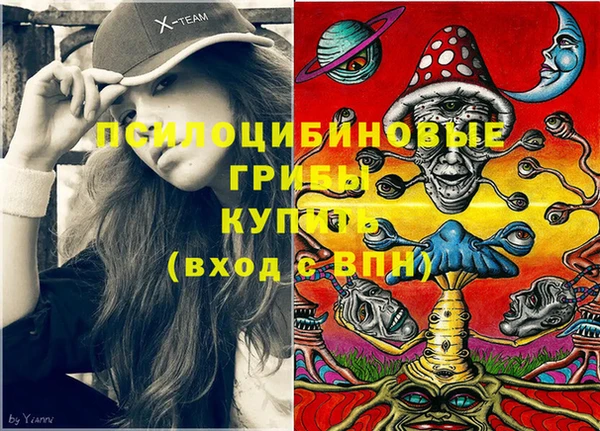 меф Медногорск
