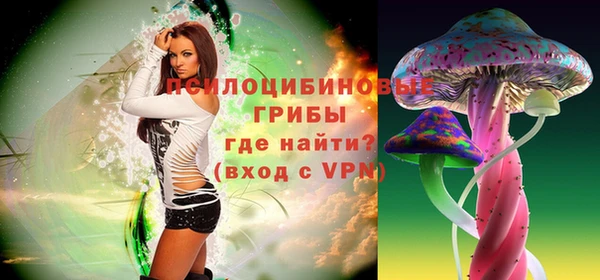 прущая мука Медвежьегорск
