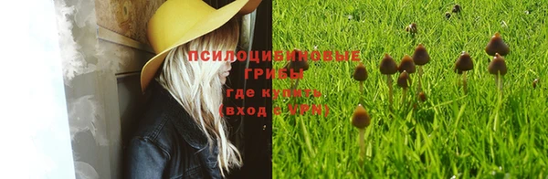 круглые Мегион